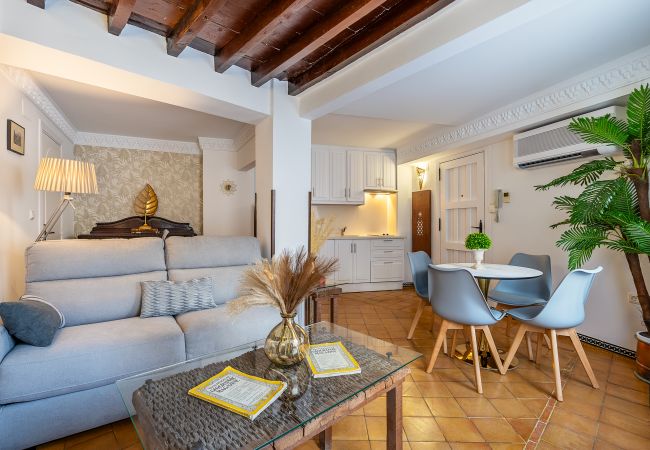 Apartamento en Granada - B) APM-3