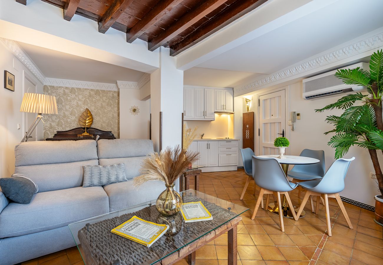 Apartamento en Granada - B) APM-3