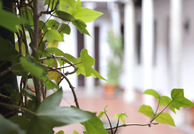 Apartment in Granada - C1) AP-22