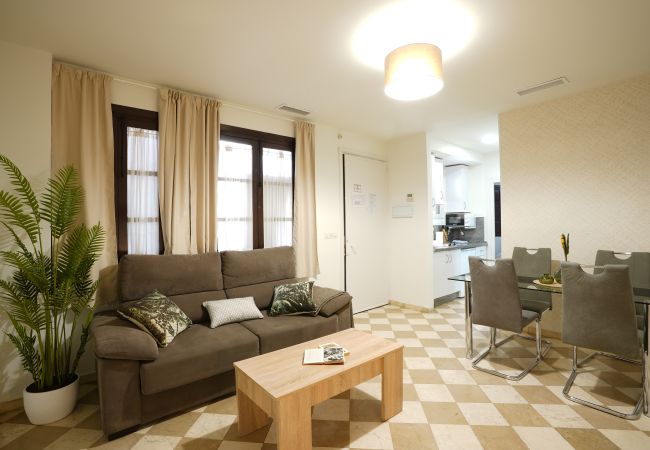 Apartment in Granada - C3) AP-13