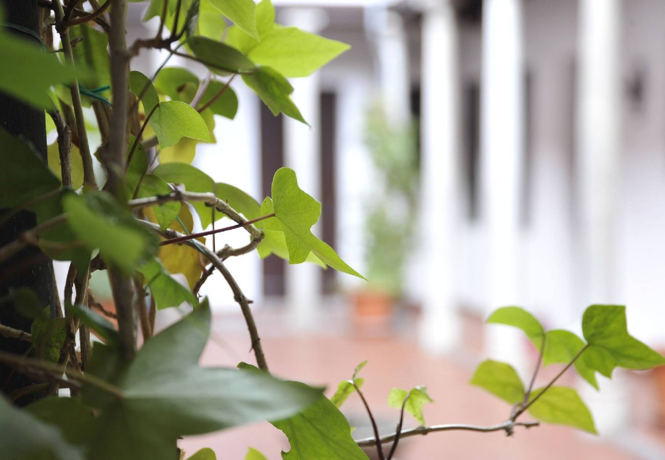 Appartement à Granada - C1) AP-22